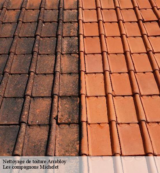 Nettoyage de toiture  arrabloy-45500 Les compagnons Michelet