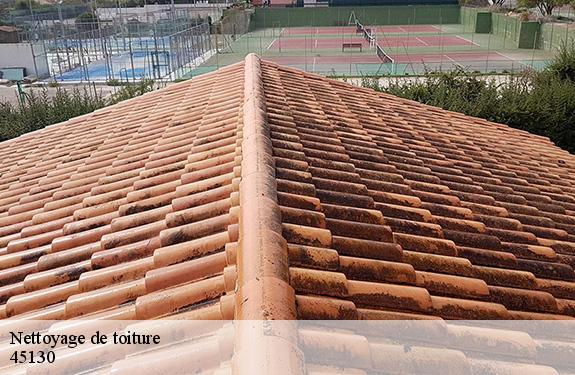 Nettoyage de toiture  45130