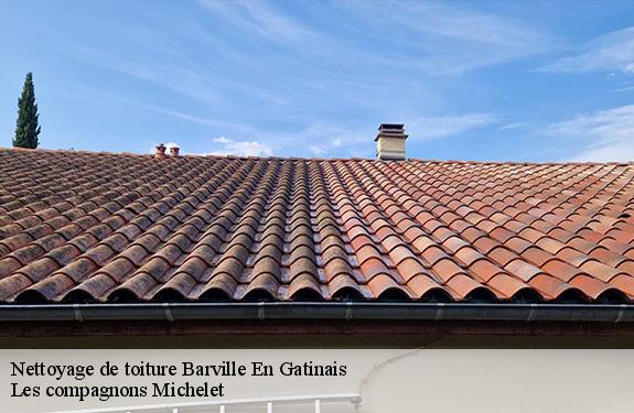 Nettoyage de toiture  45340