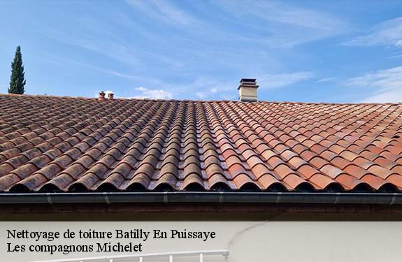 Nettoyage de toiture  45420