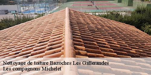 Nettoyage de toiture  bazoches-les-gallerandes-45480 Les compagnons Michelet