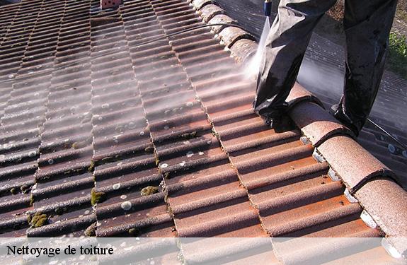 Nettoyage de toiture  45210
