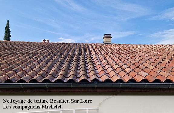 Nettoyage de toiture  45630