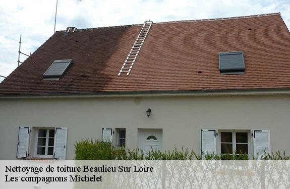 Nettoyage de toiture  45630