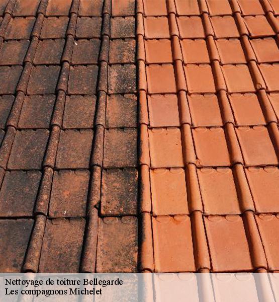 Nettoyage de toiture  bellegarde-45270 Les compagnons Michelet