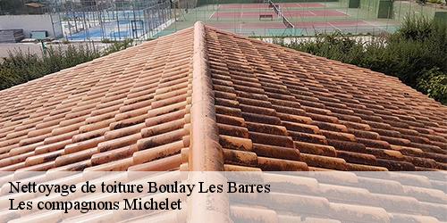 Nettoyage de toiture  boulay-les-barres-45140 Les compagnons Michelet