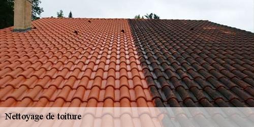 Nettoyage de toiture  bray-en-val-45460 Les compagnons Michelet