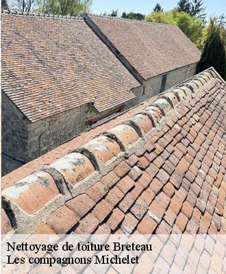 Nettoyage de toiture  breteau-45250 Les compagnons Michelet