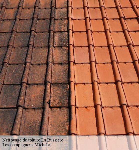 Nettoyage de toiture  la-bussiere-45230 Les compagnons Michelet