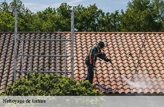 Nettoyage de toiture  45120