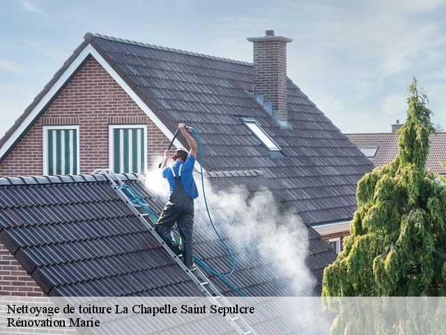 Nettoyage de toiture  la-chapelle-saint-sepulcre-45210 Rénovation Marie