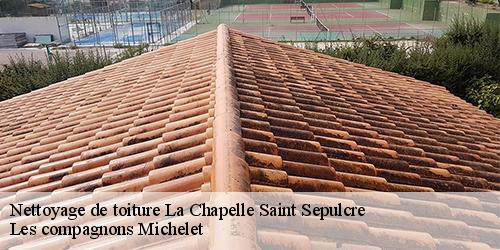 Nettoyage de toiture  la-chapelle-saint-sepulcre-45210 Les compagnons Michelet