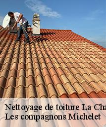 Nettoyage de toiture  la-chapelle-saint-sepulcre-45210 Les compagnons Michelet