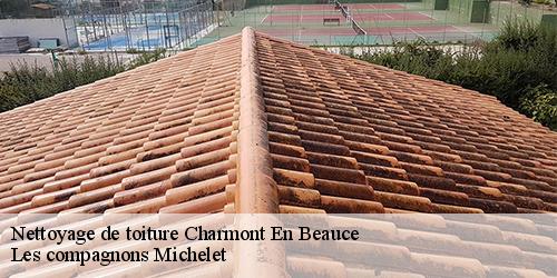 Nettoyage de toiture  charmont-en-beauce-45480 Les compagnons Michelet