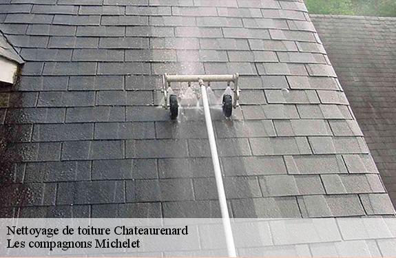 Nettoyage de toiture 45220