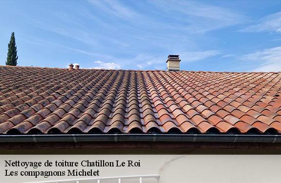 Nettoyage de toiture 45480