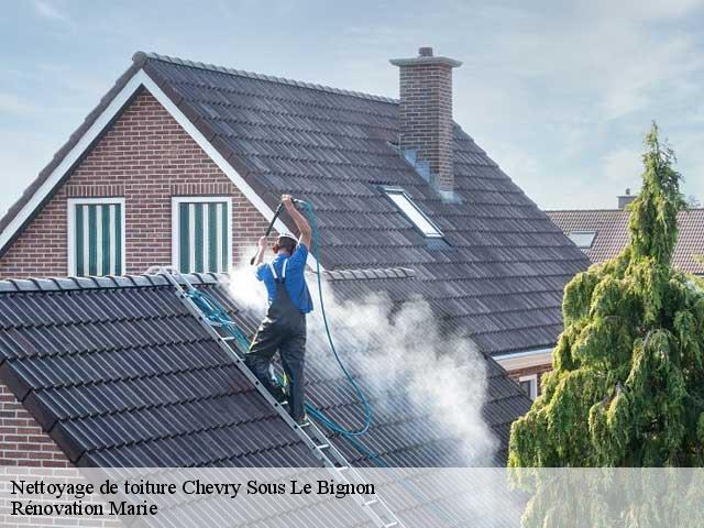 Nettoyage de toiture  chevry-sous-le-bignon-45210 Rénovation Marie