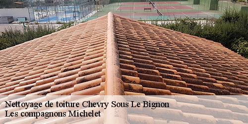 Nettoyage de toiture  chevry-sous-le-bignon-45210 Les compagnons Michelet