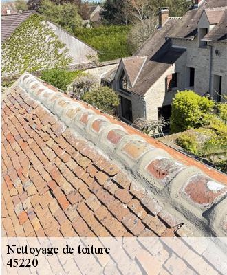 Nettoyage de toiture  chuelles-45220 Les compagnons Michelet