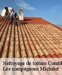 Nettoyage de toiture  combleux-45800 Les compagnons Michelet