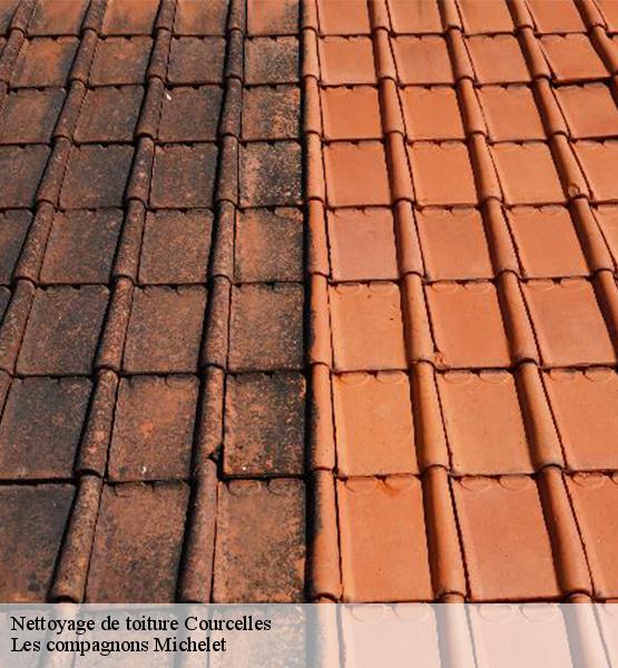 Nettoyage de toiture  courcelles-45300 Les compagnons Michelet