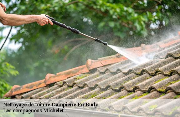 Nettoyage de toiture  dampierre-en-burly-45570 Les compagnons Michelet