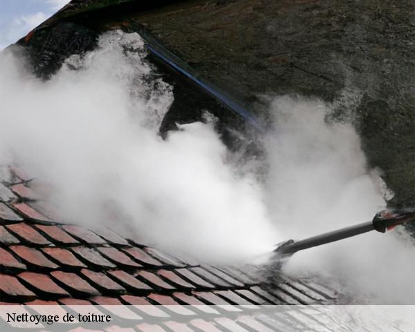 Nettoyage de toiture  echilleuses-45390 Les compagnons Michelet
