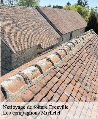 Nettoyage de toiture  erceville-45480 Les compagnons Michelet