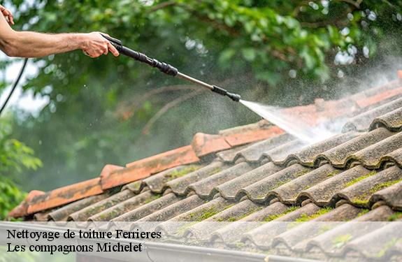 Nettoyage de toiture ferrieres-45210 Les compagnons Michelet
