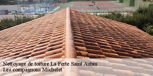 Nettoyage de toiture  la-ferte-saint-aubin-45240 Les compagnons Michelet