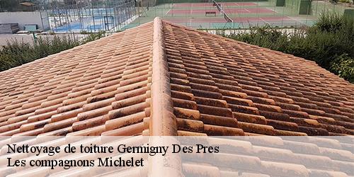 Nettoyage de toiture  germigny-des-pres-45110 Les compagnons Michelet