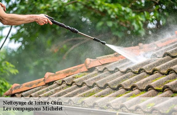 Nettoyage de toiture  gien-45500 Les compagnons Michelet