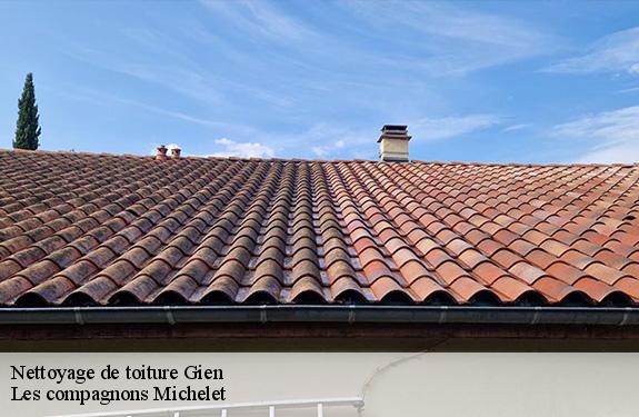 Nettoyage de toiture  45500