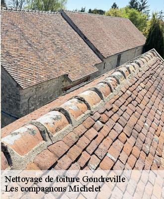 Nettoyage de toiture  gondreville-45490 Les compagnons Michelet