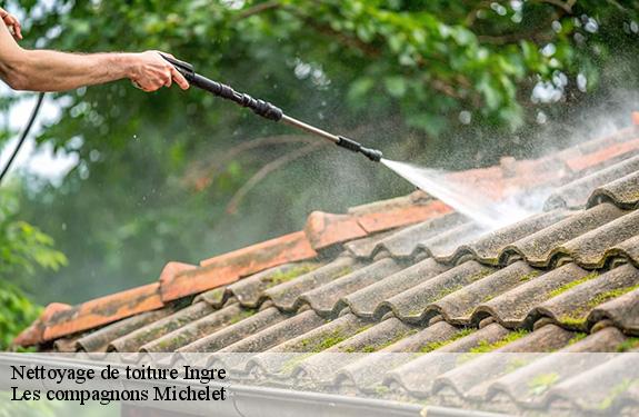 Nettoyage de toiture ingre-45140 Les compagnons Michelet