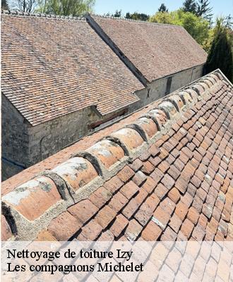 Nettoyage de toiture  izy-45480 Les compagnons Michelet