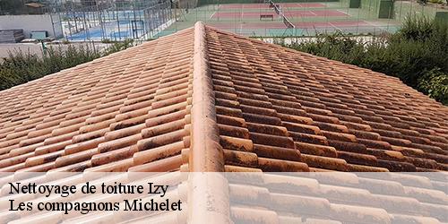 Nettoyage de toiture  izy-45480 Les compagnons Michelet