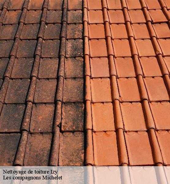 Nettoyage de toiture  izy-45480 Les compagnons Michelet