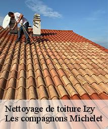 Nettoyage de toiture  izy-45480 Les compagnons Michelet