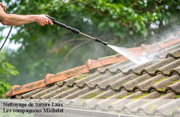 Nettoyage de toiture laas-45300 Les compagnons Michelet