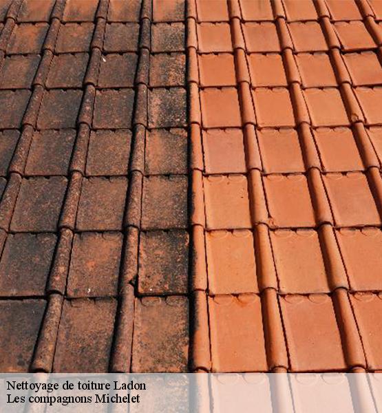 Nettoyage de toiture  ladon-45270 Les compagnons Michelet