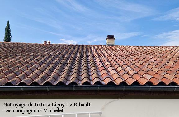 Nettoyage de toiture  45240