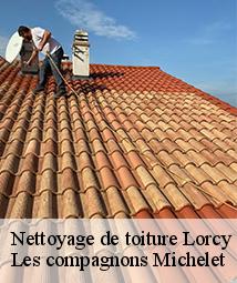 Nettoyage de toiture  lorcy-45490 Les compagnons Michelet