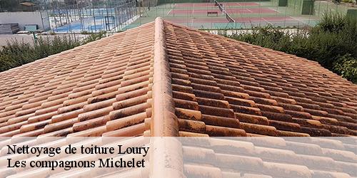 Nettoyage de toiture  loury-45470 Les compagnons Michelet