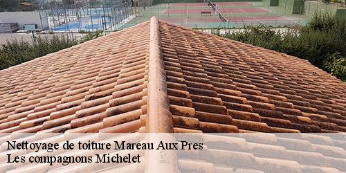 Nettoyage de toiture  mareau-aux-pres-45370 Les compagnons Michelet