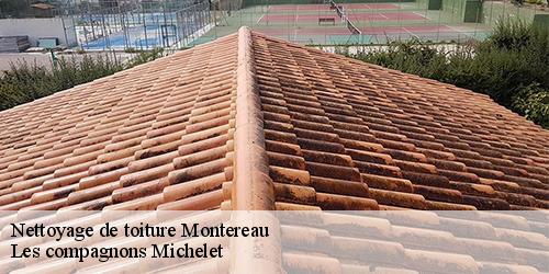 Nettoyage de toiture  montereau-45260 Les compagnons Michelet