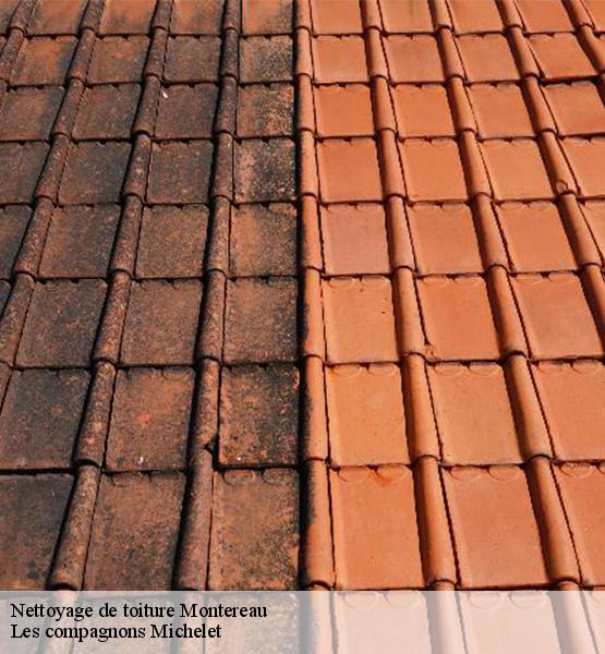 Nettoyage de toiture  montereau-45260 Les compagnons Michelet