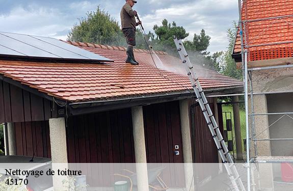 Nettoyage de toiture 45170