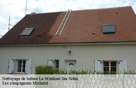 Nettoyage de toiture  45290