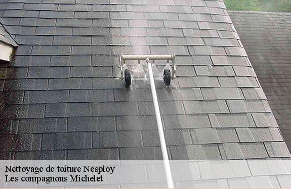 Nettoyage de toiture 45270